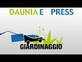 movie.flv