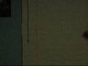 Beekeeper Bloopers