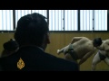 Sumo wrestling tumbles back in form