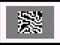 Mazogs ZX81
