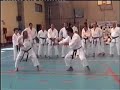 SHOTOKAN Maestro ILIO SEMINO Manele-Gratis.net