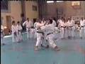 SHOTOKAN Maestro ILIO SEMINO