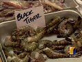 New Waipahu Festival Market Opens New Waipahu Festival Market Opens