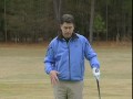 Tips Plus: Jim McLean (Feb. 2010)