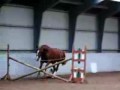 H�jdalgaards Archilles l�sspringning
