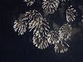 japantag düsseldorf das feuerwerk 1