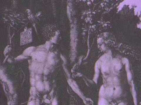 Michel Foucault On 'Pleasure Vs. Desire'