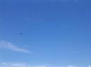 Let the Eagles Soar (In Canada)