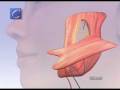 videos de cun