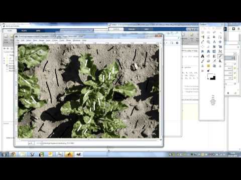 how to train images in matlab