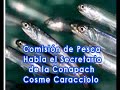 Comision Pesca - Secretario de la Conapach Cosme Caracciolo
