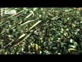 Lanús-Banfield ATMOSPHERE