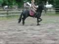 MovieClip 2343