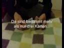 Wo ist die Dame?