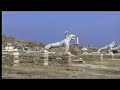 Delos the island of apollo