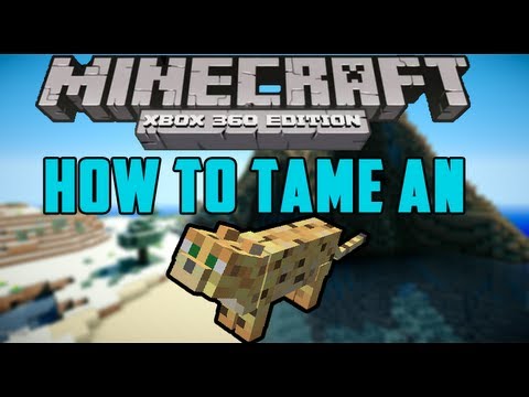 how to train a ocelot in minecraft xbox