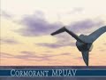 Lockheed Cormorant unmanned aircraft Lockheed Cormorant unmanned aircraft