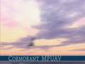 Lockheed Cormorant unmanned aircraft