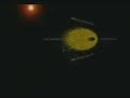 BABYLON 5 INTO THE FIRE - space combat simulator