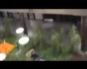 EXPVIDEOPODCAST#2 EXPVIDEOPODCAST#2