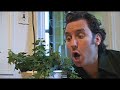 Horticulture with Greg Gilbert