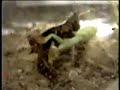 deathmatch: rocky the roach rodriguez vs  monty