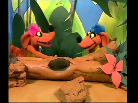 how to measure human height