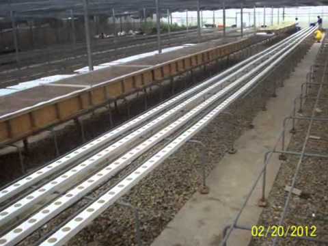 how to snap hydroponics