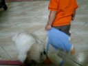 si Baby Bench at makulit na nimo...