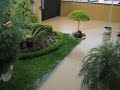 meu jardim aquático *_*
