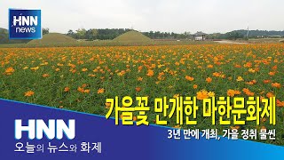 가을꽃 만개한 마한문화제