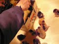 Opening the box from the hatchery