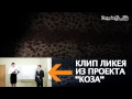 +100500 - ХОУЛИ ФАКИН ЩИТ