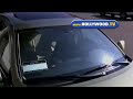 exclusive: amy smart spotted in beverly hills