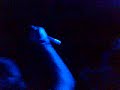 Circus beat club - Fancesco rossi