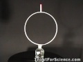 Home Experiment: Newton's First Law/Law of Inertia