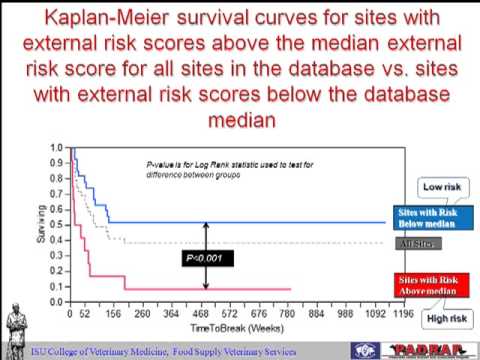 how to assess risk