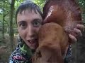 Chav Chef Mushroom Picking