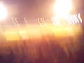 husa izk- ultras imazighen husa izk- ultras imazighen