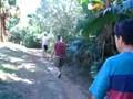 Selva Sul Africana