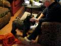 videos de JH-5 Bucky blowdry -7 sec