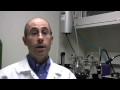 Texas A&M Researcher Examines Cocaine Effects