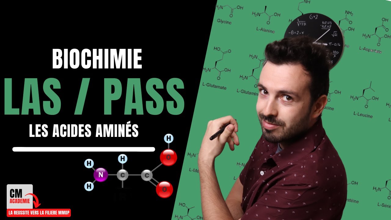 Les acides aminés : 🧬 Comment les classer pour les APPRENDRE ? Mes astuces de BIOCHIMIE !