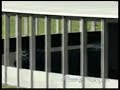 PS3 || GT5p || TVR Tamora Replay