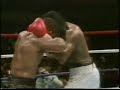 Mike Tyson Knockouts