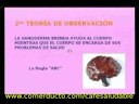 Ganoderma (Reishi) Progal BT Colombia 3