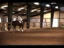 Zephyr Valor.wmv Zephyr Valor.wmv