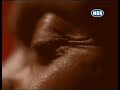 here is the 2nd version of the live with me featuring terry callier in the video. (thanks to soulbearer for uploading it and to richard for almost uploading it, haha)