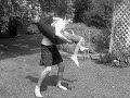 N.A.B. Training Promo