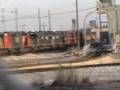 videos de Lot of gems in CN's Markham Yard deadline! Homewood, IL. - 01/03/09